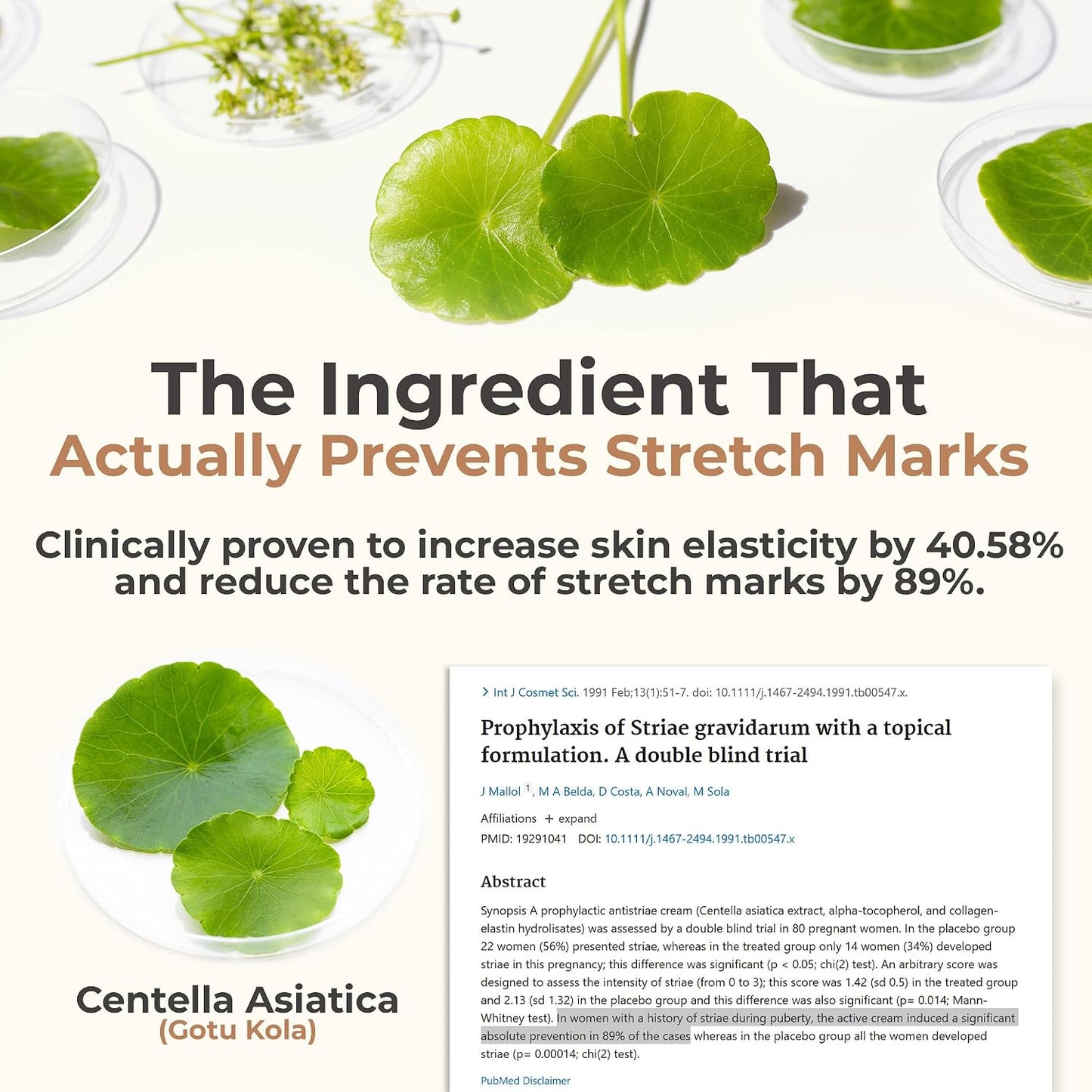 True Belly Serum